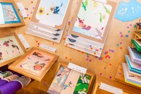 Charlotte Ronfort Illustration