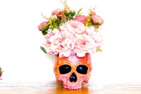 s_1_jardicrane_flowers_orange_rose_1