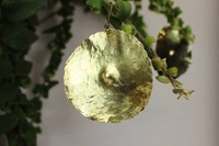 s_2020-03-15_13.01.51